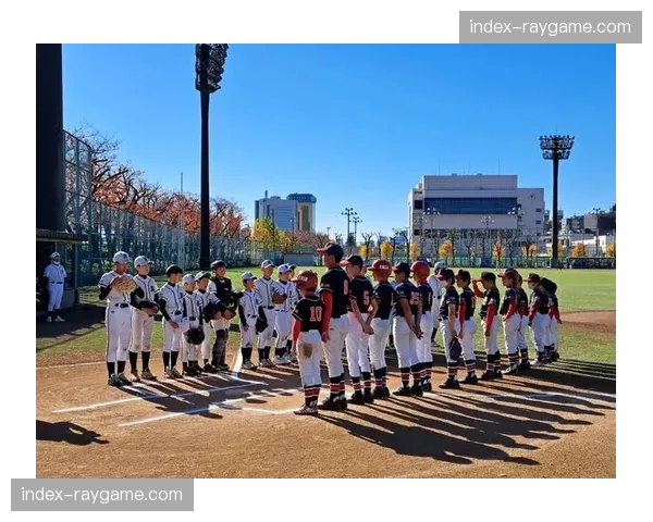 日本高等学校棒球联盟决定采用“大谷规则”,允许球队自行决定是否取消指定打击 日本高等学校棒球联盟决定采用“大谷规则”,允许球队自行决定是否取消指定打击